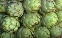 Lâm Đồng xây dựng và giữ vững thương hiệu Atiso