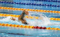 Giải bơi Arena Pro Swim Series 2017: Ánh Viên khởi đầu không ấn tượng
