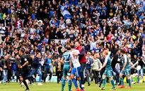 Brighton trở lại giải Ngoại hạng Anh sau 34 năm