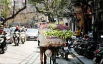 Người nước ngoài nói gì về hàng rong vỉa hè?