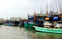 Các địa phương khẩn trương ứng phó với bão số 16
