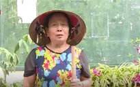 Việc tử tế: Tổ phó Tổ dân phố