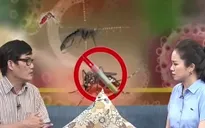 Phân biệt sốt xuất huyết và sốt virus