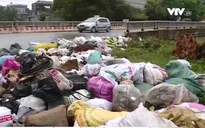 Tiềm ẩn nguy cơ sốt xuất huyết từ bãi rác thải