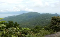 “Kiến nghị giữ nguyên hiện trạng tại Sơn Trà là chưa phù hợp”