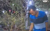 Nỗi niềm của những nhà vườn mang hoa ra phố