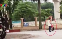 Thủ đoạn vận chuyển của đường dây làm bằng lái ô tô giả