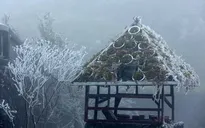 Giá lạnh tại Sa Pa, Lào Cai