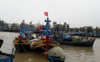 Phú Yên: Hàng trăm tàu thuyền bị chìm dù đang ở khu neo đậu