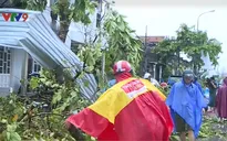 Các địa phương miền Trung thiệt hại trước cơn bão dữ