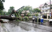 Mạnh nhất trong nhiều năm trở lại đây ở Nam Trung Bộ, bão số 12 gây thiệt hại lớn