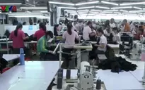 Quảng Nam khó xử lý nhiều doanh nghiệp nợ đọng bảo hiểm