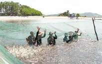 Bảo hiểm nông nghiệp: Mở rộng đối tượng được bảo hiểm, thúc đẩy người tham gia