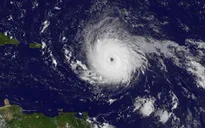 Bão Irma cướp đi sinh mạng của 4 người tại Mỹ