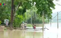 Người dân trắng tay vì mưa lũ kéo dài ở Phú Yên