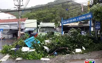 Người dân thiếu thông tin trong ứng phó với bão