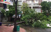 37 người thiệt mạng và mất tích do bão số 12