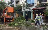 Bão số 12 càn quét Khánh Hòa, nhiều nhà dân bị đổ sập, hư hỏng nặng