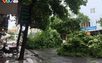 Chủ tịch nước Lào gửi điện thăm hỏi tới Chủ tịch nước Trần Đại Quang về bão số 12