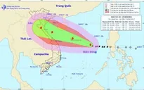 Họp khẩn ứng phó bão số 10 mạnh nhất từ đầu mùa đến nay