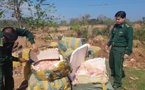Phát hiện gần 500kg thịt gà và nội tạng không rõ nguồn gốc