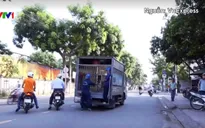 Ý kiến xung quanh quy định bắt chó chạy rông