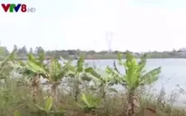 Đăk Nông: Nhiều công trình thủy lợi bị lấn chiếm