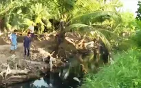Bến Tre: Ô nhiễm kênh nội đồng đe dọa cuộc sống người dân