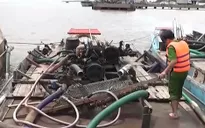 Bến Tre: Nạn khai thác cát trái phép bị đẩy lùi sau 2 tháng ra quân