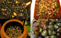 Ốc gạo Phú Đa - Đặc sản bình dị từ thiên nhiên