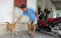 Công tác phòng chống bệnh dại chưa hiệu quả
