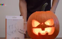 Trang trại bí ngô hút khách dịp Halloween