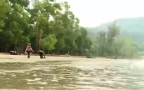Cặp vợ chồng 7 năm tình nguyện nhặt rác ở bãi biển Đà Nẵng