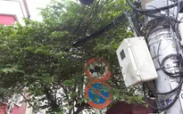 TP.HCM: Biển báo giao thông núp bóng cây, tài xế “dở khóc dở cười”
