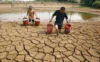 Biến đổi khí hậu gây ảnh hưởng đến an ninh lương thực ở nước ta