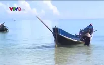 Môi trường sinh thái biển Bắc Trung Bộ đang hồi phục tích cực