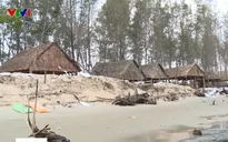 Bà Rịa - Vũng Tàu chưa thể theo kịp tình trạng biển xâm thực