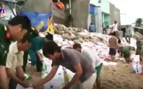 Xói lở bờ biển uy hiếp các hộ dân huyện Tuy Phong, Bình Thuận