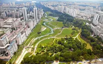 Bí quyết quy hoạch không gian xanh của Singapore