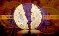 Nhà đầu tư trong nước thận trọng với Bitcoin Cash