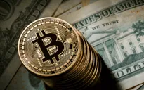 Sàn giao dịch Bitcoin BTC-e ngừng giao dịch sau bê bối rửa tiền