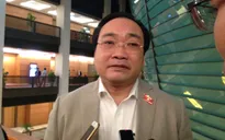 Bí thư Hà Nội: Muốn giữ, nhưng chỗ nào cần di dời cây thì bắt buộc phải làm