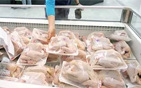 Giá thịt gà xuống mức thấp nhất 5 năm qua