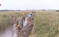Thanh Hóa: Bộ đội giúp dân ổn định cuộc sống sau mưa lũ
