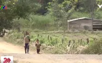 Nóng tình trạng trẻ em bị dụ dỗ bỏ học đi làm thuê xa