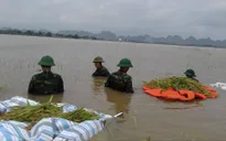Ninh Bình, Thái Bình huy động lực lượng vũ trang giúp dân gặt lúa