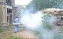 Hà Nội có số ca mắc sốt xuất huyết cao nhất cả nước