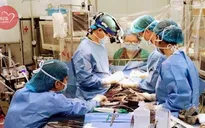 Can thiệp tim mạch cứu sống ca bệnh có một không hai trên thế giới