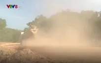 “Làng bụi”... ở Phú Yên
