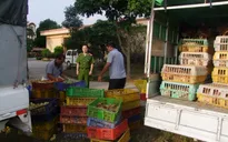 Không ít vụ việc buôn lậu gia cầm bị bắt giữ